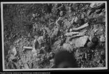 Ruiny obiektu zabytkowego