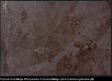 Białystok, Pałac Branickich, freski elewacji ogrodowej