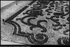 Białystok, Ogrody Branickich, ogr&oacute;d g&oacute;rny, bukszpanowe partery