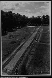 Białystok, Ogrody Branickich, ogr&oacute;d g&oacute;rny, gł&oacute;wna aleja