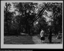 Władysław Paszkowski i jego wsp&oacute;łpracownicy