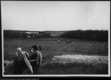 Władysław Paszkowski i jego wsp&oacute;łpracownicy