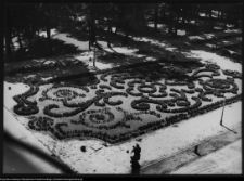 Białystok, Ogrody Branickich, ogr&oacute;d g&oacute;rny, bukszpanowe partery