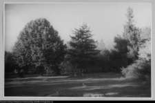 Rudka, park przypałacowy