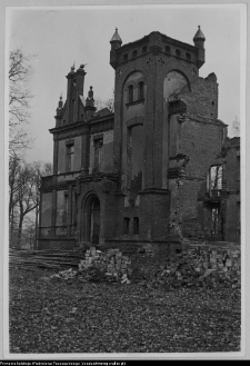 Pobikry, ruiny pałacu