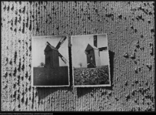 Lubowicze, reprint widoku rozebranego wiatraka