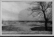 Kalin&oacute;wka Kościelna, okolice