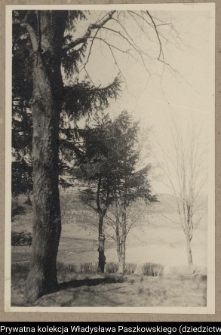 Choroszcz, widok doliny Narwi z głównej alei parku