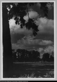 Białystok, park pałacowy