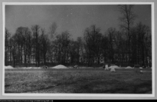 Białystok, odbudowa Pałacu Branickich, ogr&oacute;d