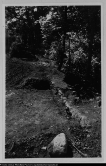 Białystok, odbudowa Pałacu Branickich, ogr&oacute;d