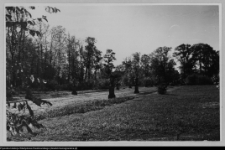 Białystok, Ogrody Branickich