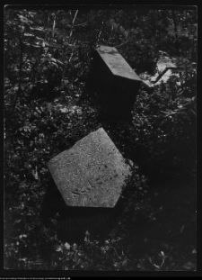 Białystok, cmentarz zydowski przy ul. Wschodniej