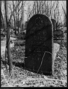 Białystok, cmentarz zydowski przy ul. Wschodniej