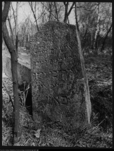 Białystok, cmentarz zydowski przy ul. Wschodniej