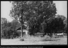 Andryjanki, fragment parku podworskiego