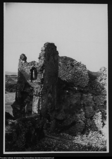 Ogrodzieniec, ruiny zamku