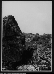 Ogrodzieniec, ruiny zamku