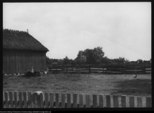 Miodusy-Pokrzywne, chaty wiejskie