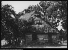 Miodusy-Pokrzywne, chaty wiejskie