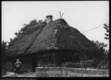 Miodusy-Pokrzywne, chaty wiejskie