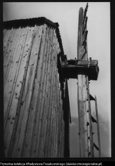 Nowinka, wiatrak koźlak