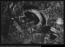 Sokoły, kości&oacute;ł