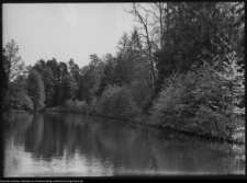 Kanał Augustowski - kanał boczny Czarnej Hańczy