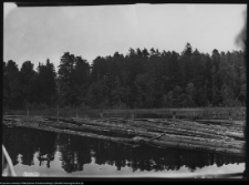 Kanał Augustowski - Stawy Gorczyckie