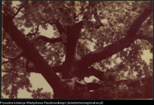 Pojezierze Augustowskie