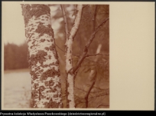 Pojezierze Augustowskie