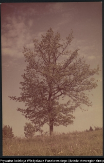 Pojezierze Augustowskie