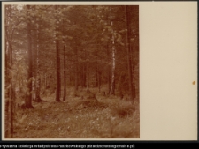 Pojezierze Augustowskie