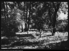 Supraśl, pałac Buchholtz&oacute;w