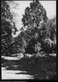 Supraśl, pałac Buchholtz&oacute;w