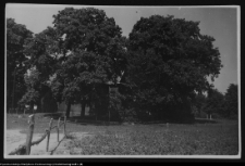 Milejczyce, kościół św. Stanisława