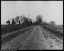 Suraż, droga prowadząca na cmentarz