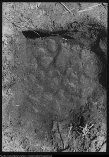 Renowacja zabytk&oacute;w wojew&oacute;dztwa białostockiego