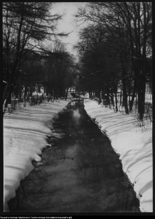 Choroszcz, park pałacowy