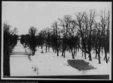Choroszcz, park pałacowy