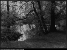 Choroszcz, park pałacowy i jego otoczenie