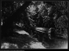 Choroszcz, park pałacowy i jego otoczenie