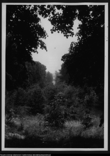 Choroszcz, park pałacowy i jego otoczenie