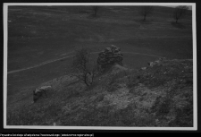 Mielnik, góra zamkowa