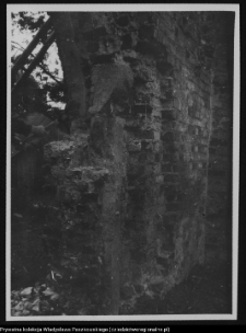 Mielnik, ruiny gotyckiego kościoła Świętej Tr&oacute;jcy