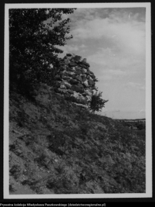 Mielnik, góra zamkowa