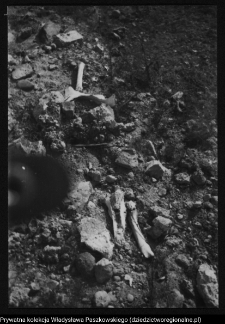 Mielnik, g&oacute;ra zamkowa