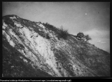 Mielnik, góra zamkowa