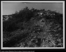 Mielnik, góra zamkowa