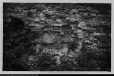 Wigry : zesp&oacute;ł klasztorno-kościelny